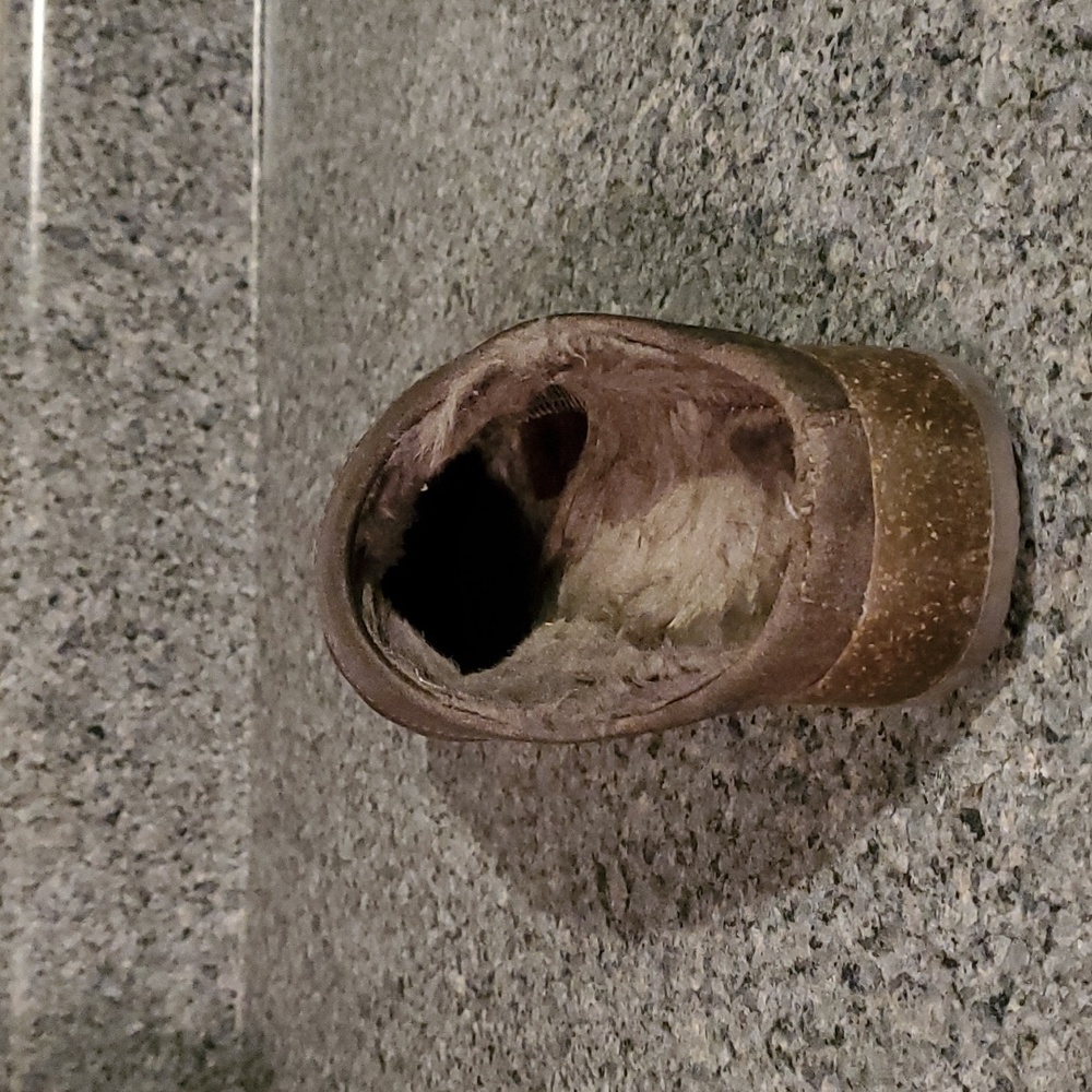 LL bean RIGHT slipper - Picture 2 of 6